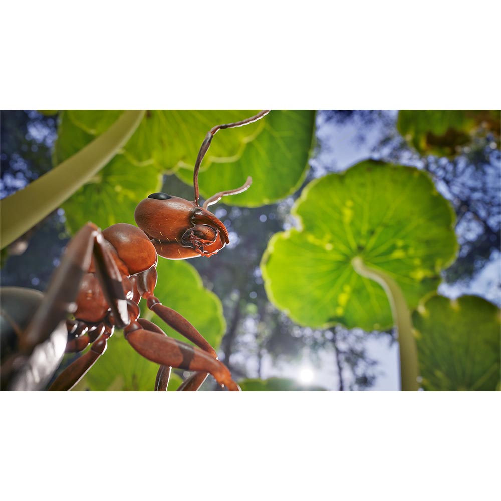 Empire of the Ants - Limited Edition - Xbox Series X