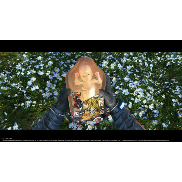 Death Stranding Director's Cut PC Download