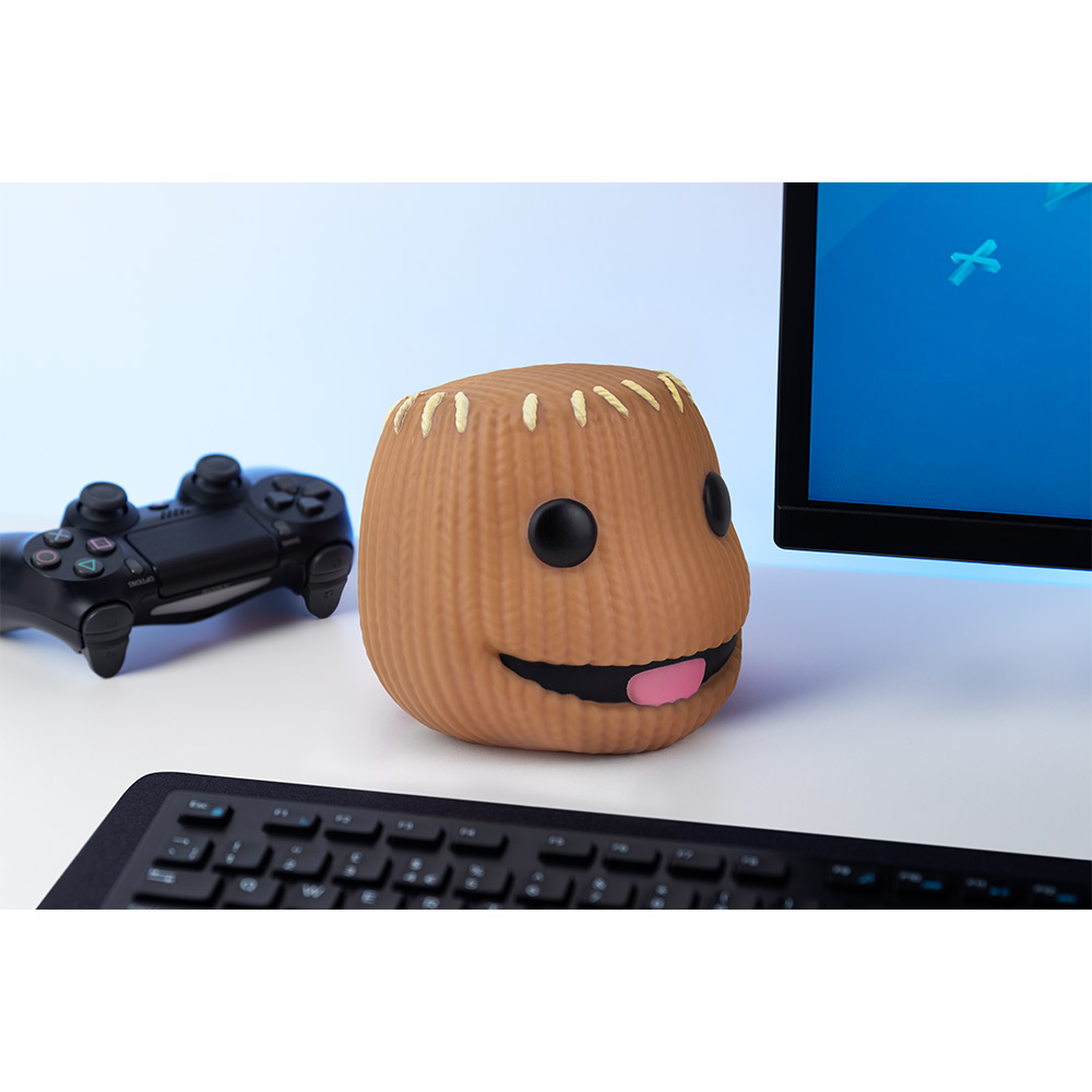 Playstation Sackboy Light